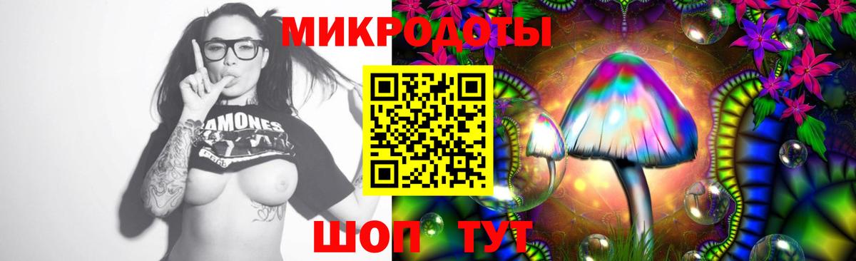 Галлюциногенные грибы Psilocybine cubensis Тольятти